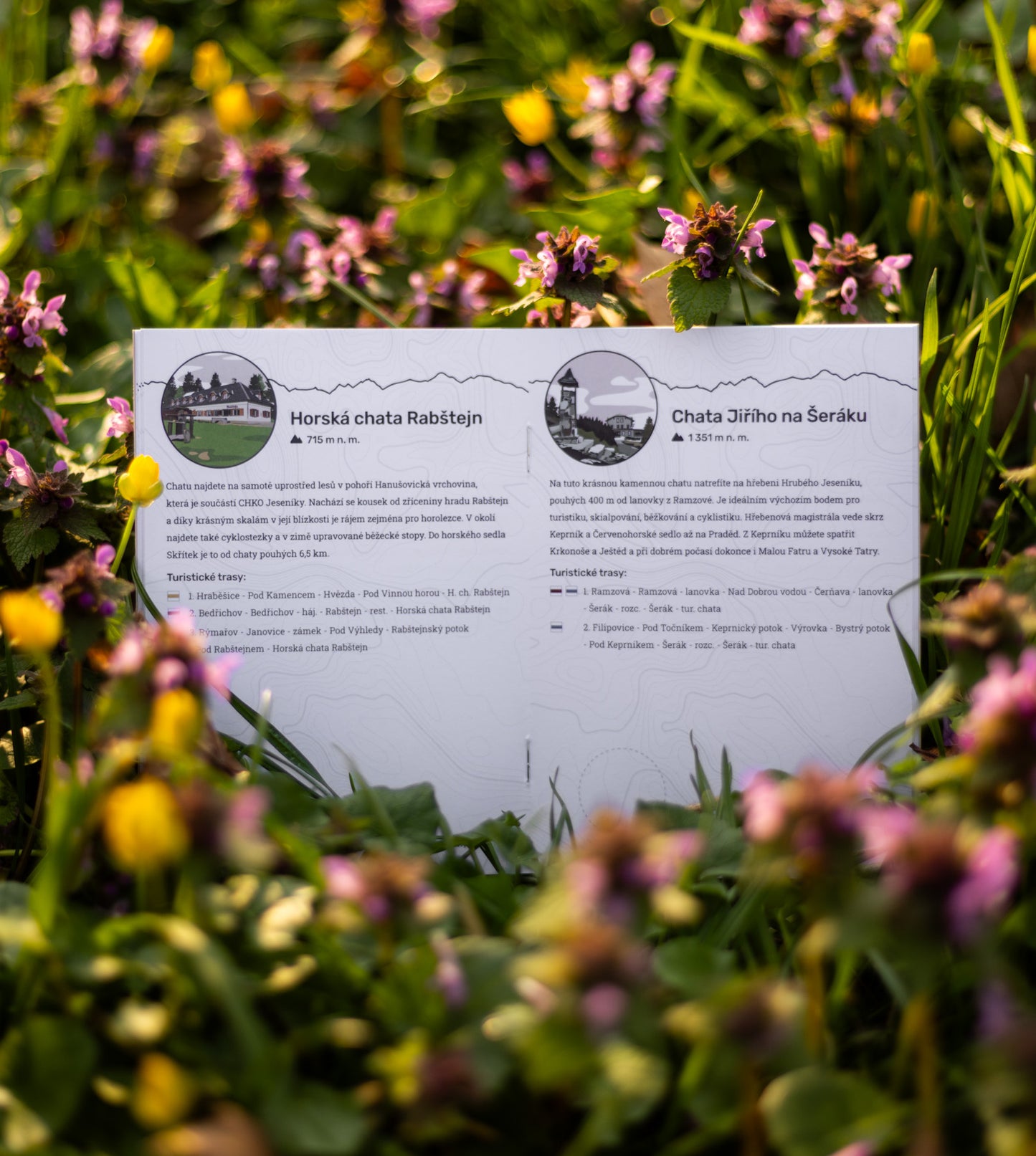 České horské pasy