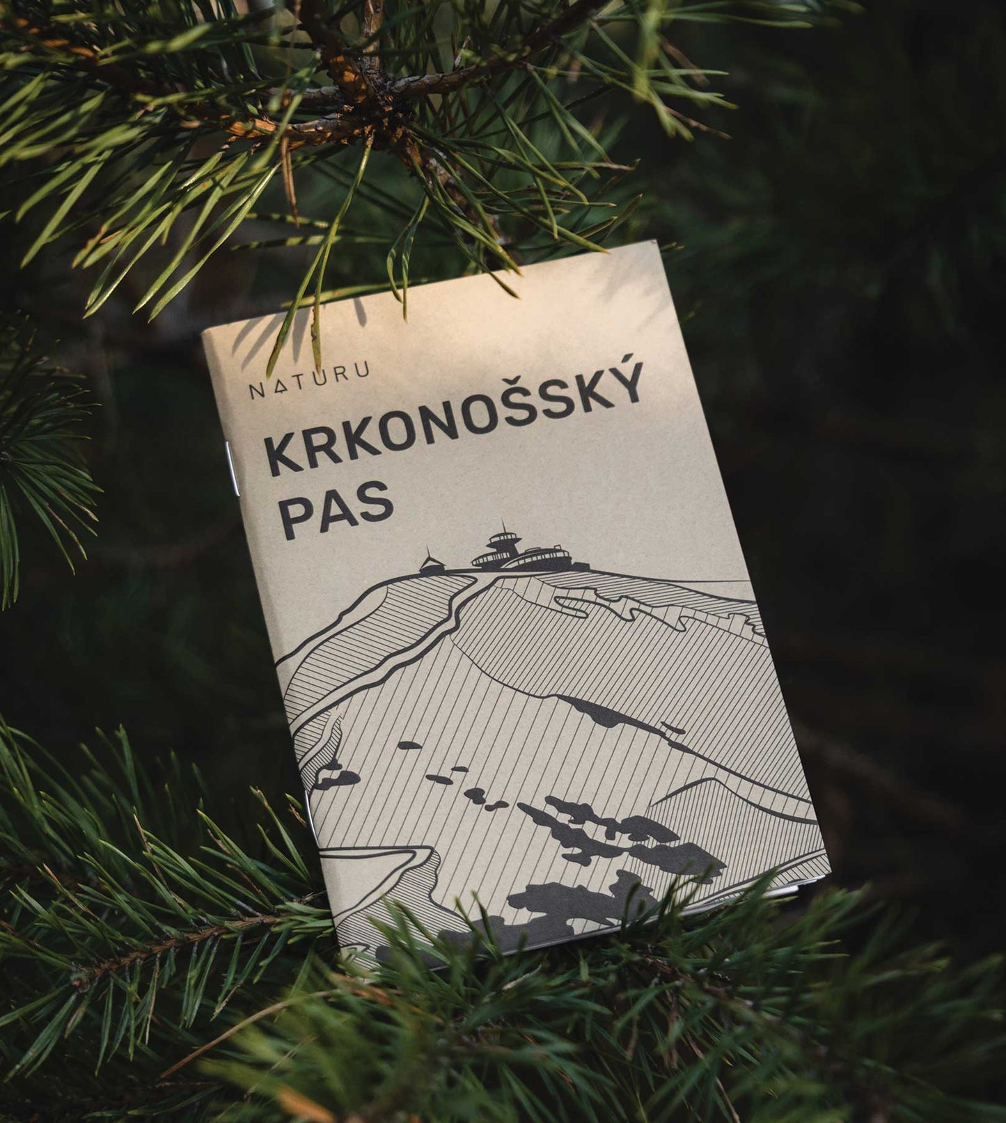 Krkonošský pas