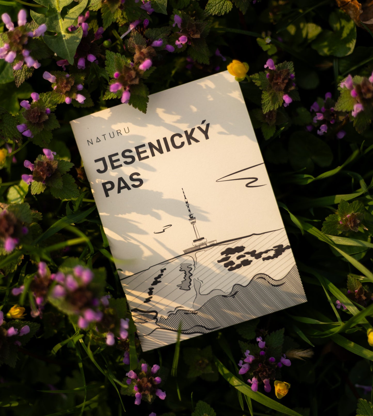 Jesenický pas