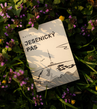Jesenický pas