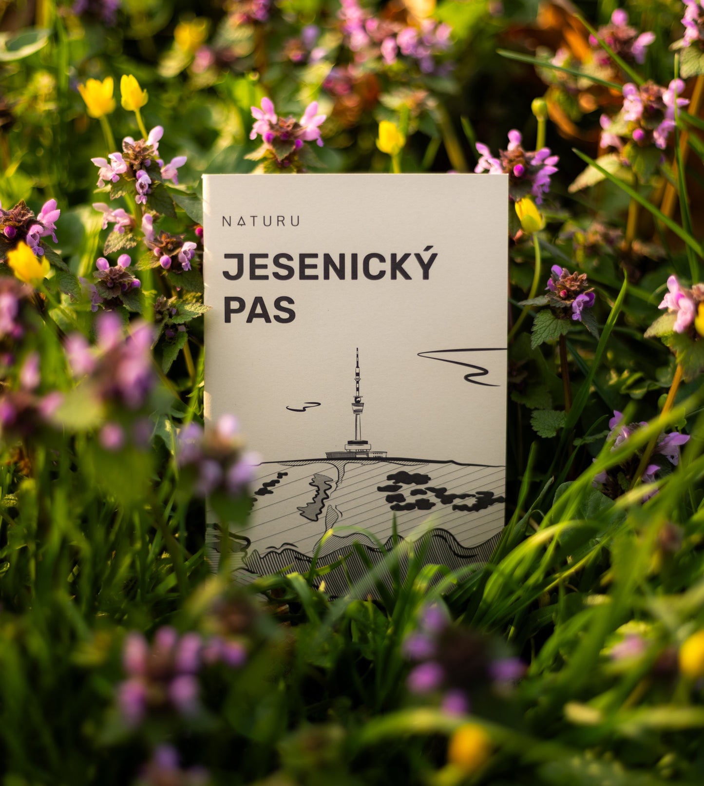 Krkonošský a Jesenický pas