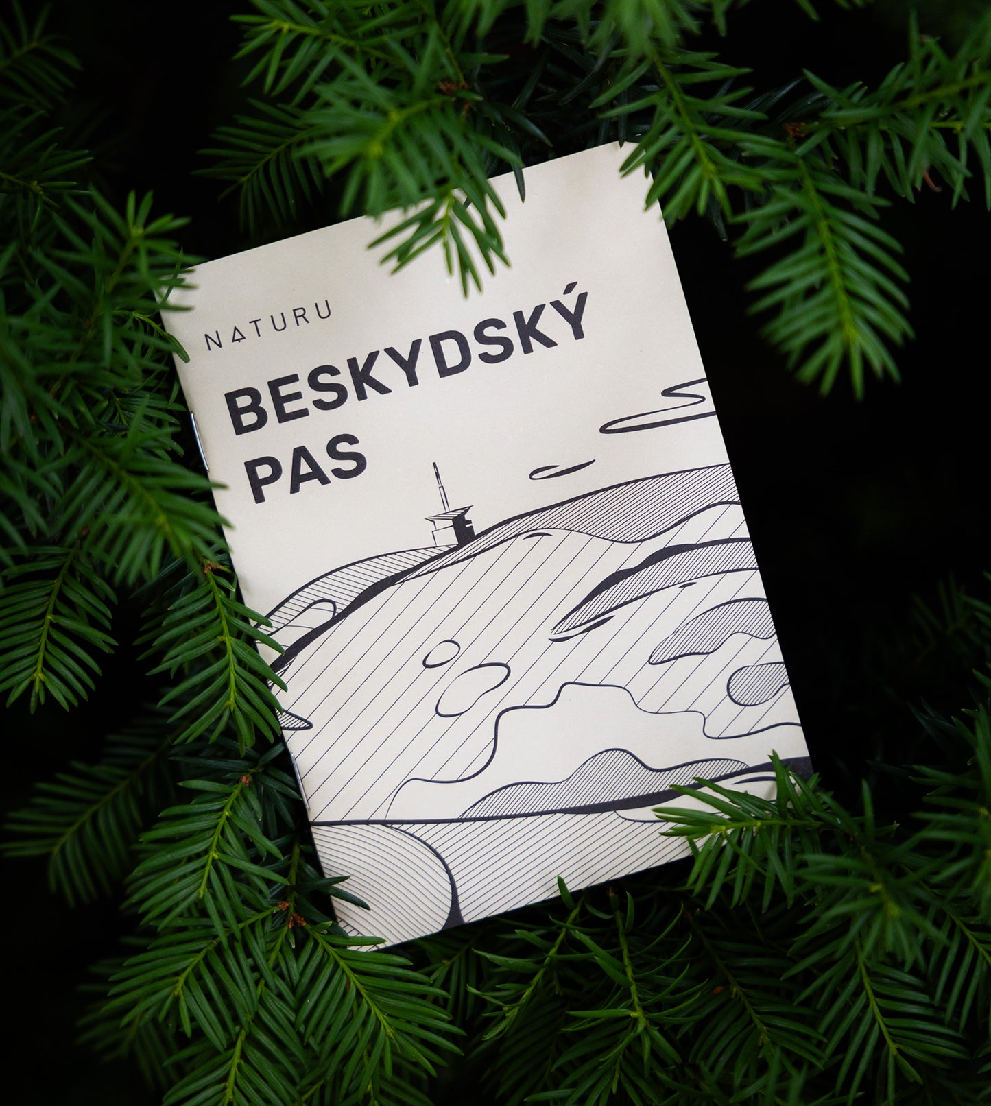 České horské pasy