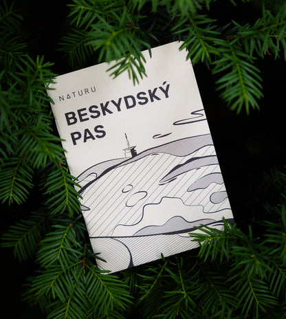 Krkonošský a Beskydský pas