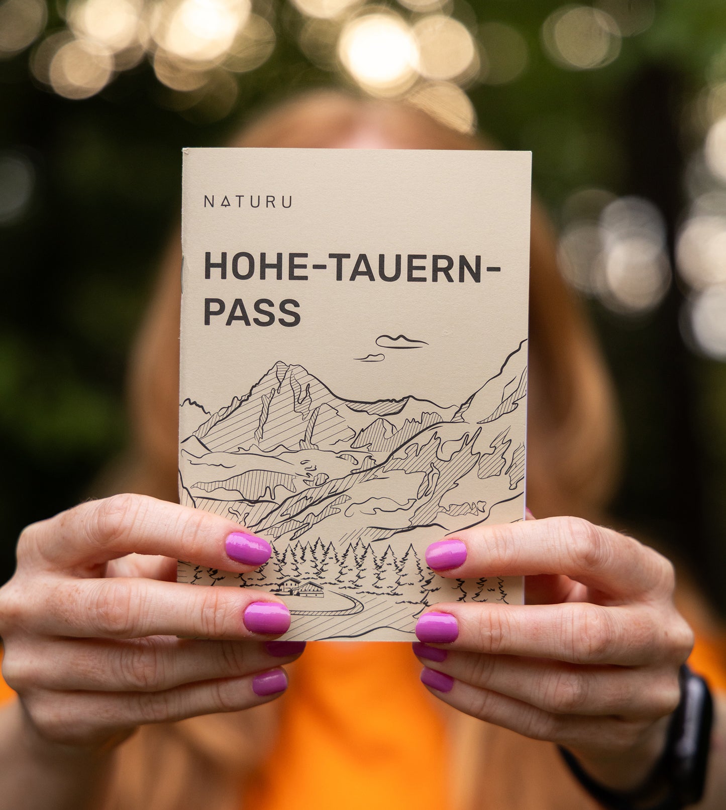 Hohe Tauern Pass (Německá verze)